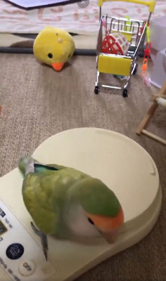 ピーチューさん