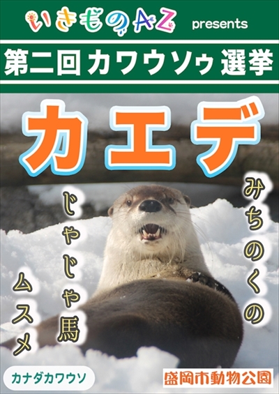カワウソゥ選挙