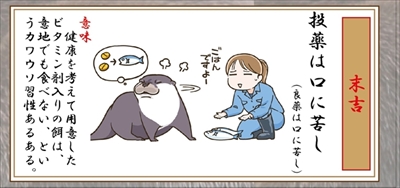 カワウソゥ選挙