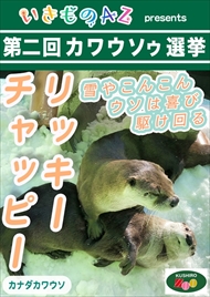 カワウソゥ選挙