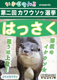 カワウソゥ選挙