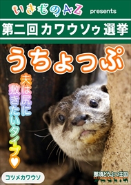 カワウソゥ選挙