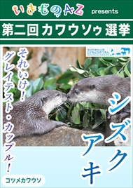 カワウソゥ選挙