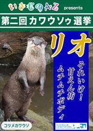 カワウソゥ選挙
