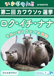 カワウソゥ選挙