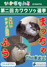 カワウソゥ選挙
