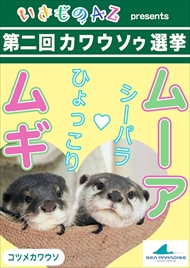 カワウソゥ選挙