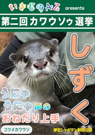 カワウソゥ選挙