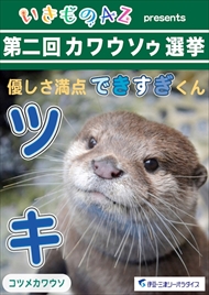 カワウソゥ選挙