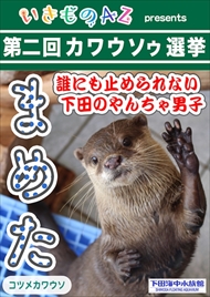 カワウソゥ選挙