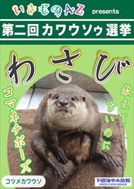 カワウソゥ選挙