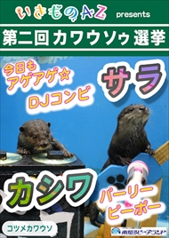 カワウソゥ選挙