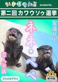 カワウソゥ選挙
