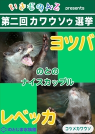 カワウソゥ選挙