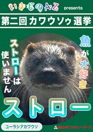 カワウソゥ選挙