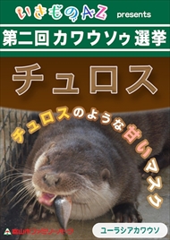 カワウソゥ選挙