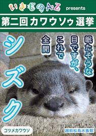 カワウソゥ選挙