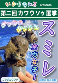 カワウソゥ選挙
