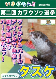 カワウソゥ選挙