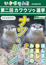 カワウソゥ選挙