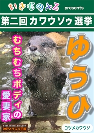 カワウソゥ選挙