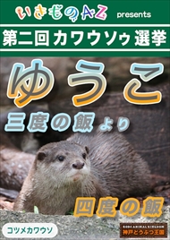 カワウソゥ選挙