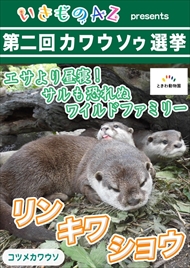 カワウソゥ選挙