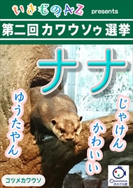 カワウソゥ選挙