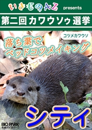 カワウソゥ選挙