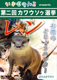 カワウソゥ選挙