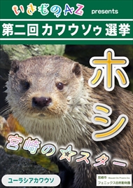 カワウソゥ選挙