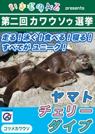 カワウソゥ選挙