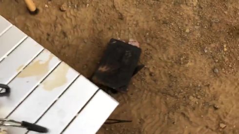 肉 キャンプ 地面 落とす 除草剤