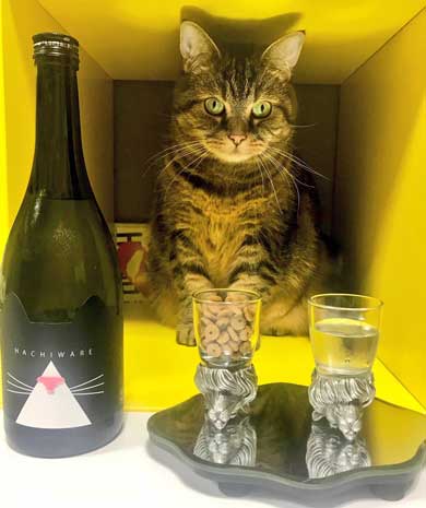 BAR 猫 マスター 晩酌