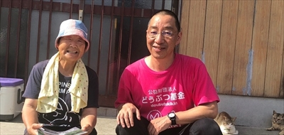 青島猫不妊手術