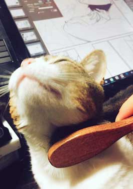 お手 おかわり 覚えた 猫 意思疎通