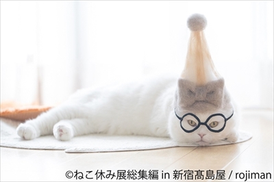 ねこ休み展　総集編