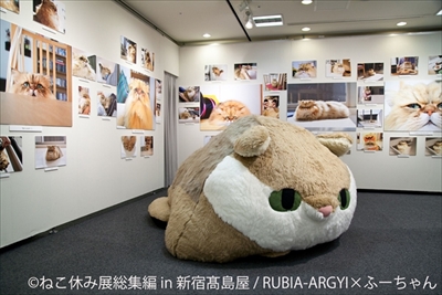 ねこ休み展　総集編
