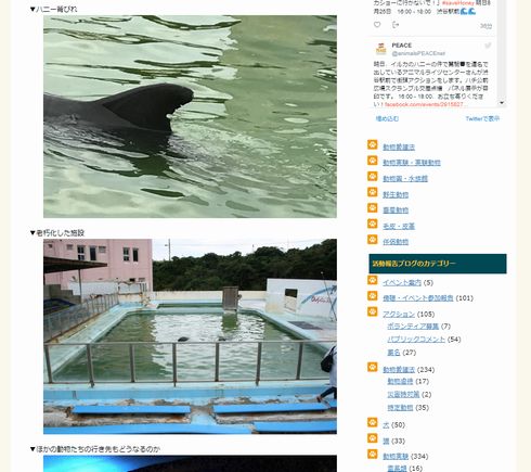 イルカ　犬吠埼マリンパーク