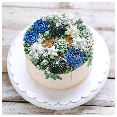 ivenoven アートケーキ サボテン