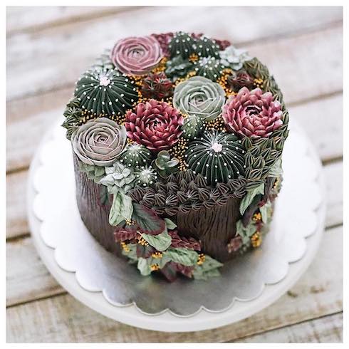 ivenoven アートケーキ サボテン