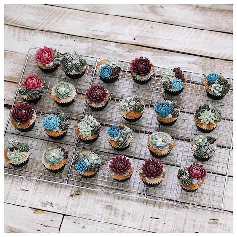 ivenoven アートケーキ サボテン