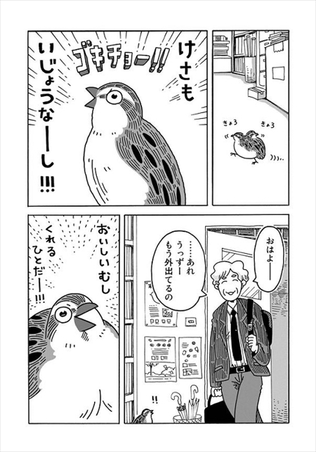 うずらのじかん