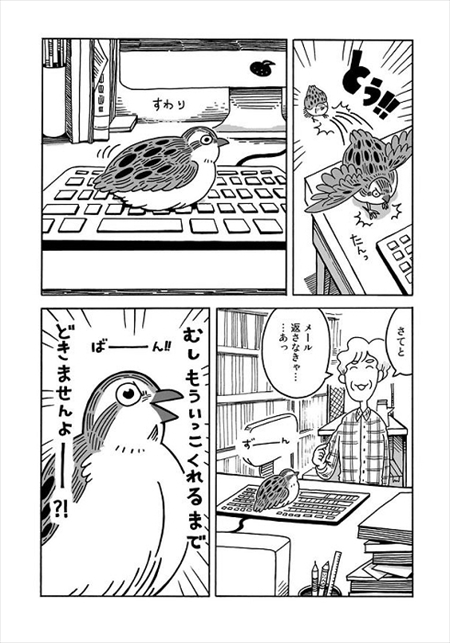 うずらのじかん