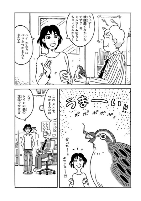 うずらのじかん