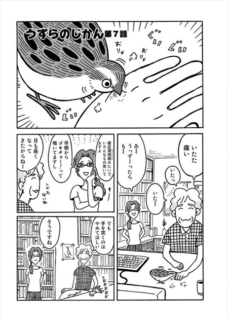 うずらのじかん