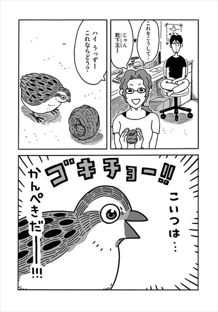 うずらのじかん