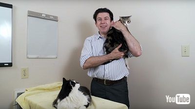 赤ちゃん抱っこ