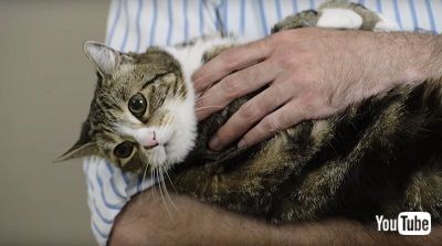 赤ちゃん抱っこ