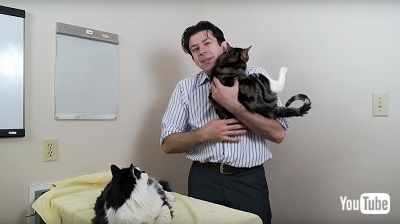 赤ちゃん抱っこ